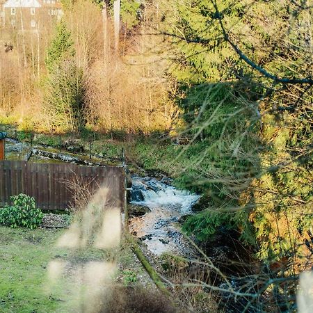 Ferienwohnung Kiefer Braunlage Bagian luar foto
