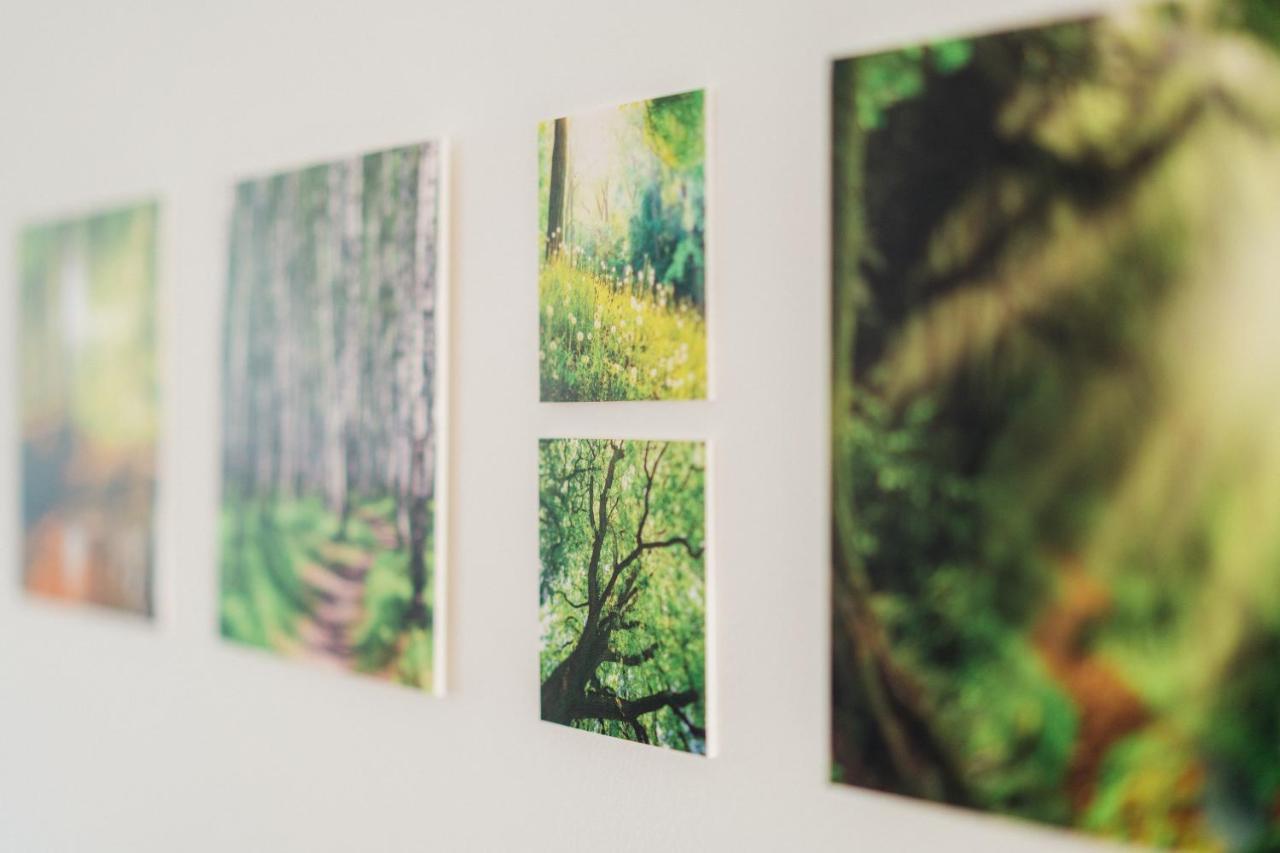 Ferienwohnung Kiefer Braunlage Bagian luar foto