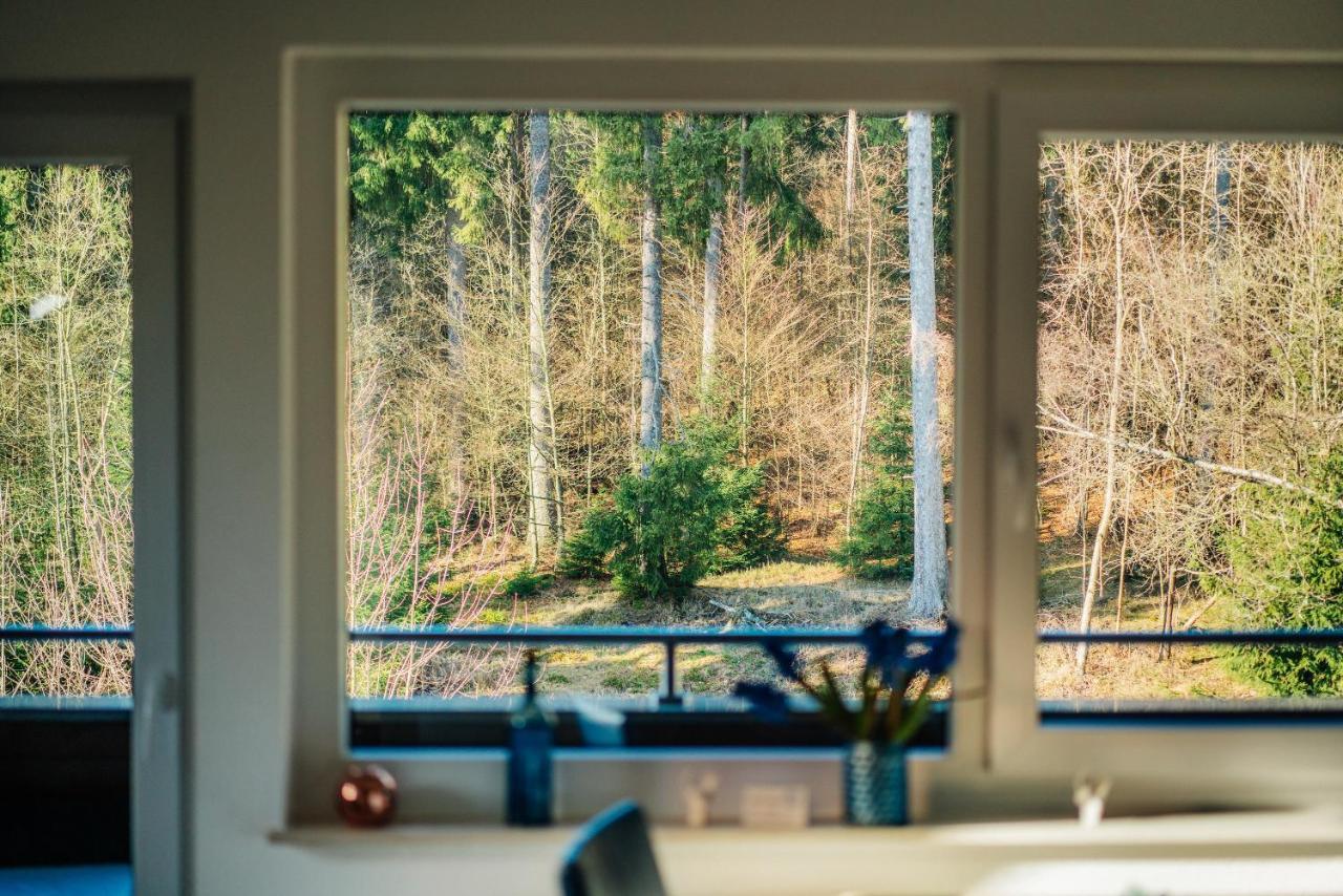 Ferienwohnung Kiefer Braunlage Bagian luar foto