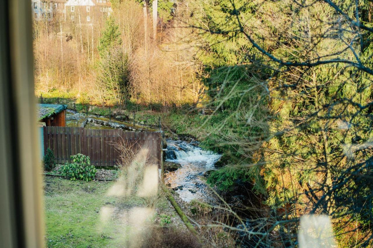 Ferienwohnung Kiefer Braunlage Bagian luar foto